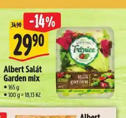 Albert Salát garden mix nabídka