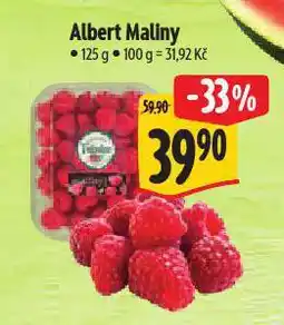 Albert Maliny nabídka