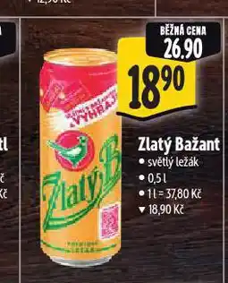 Albert Pivo zlatý bažant nabídka