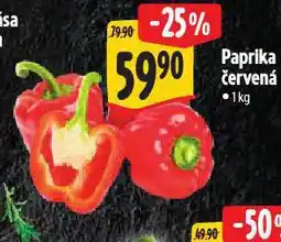 Albert Paprika červená nabídka