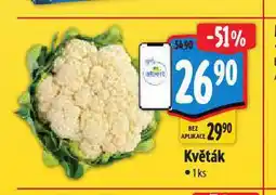 Albert Květák nabídka