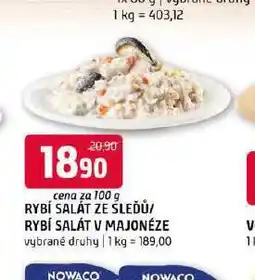 Terno Rybí salát ze sleďů nabídka