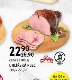 Terno Uhlířská plec nabídka