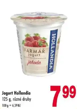 Qanto Jogurt hollandia nabídka