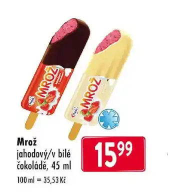 Qanto Mrož nabídka