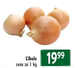 Qanto Cibule nabídka