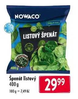 Qanto Špenát listový nabídka
