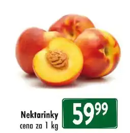 Qanto Nektarinky nabídka