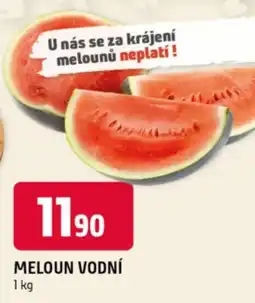 Terno Meloun vodní nabídka