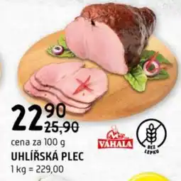Terno Uhlířská plec nabídka