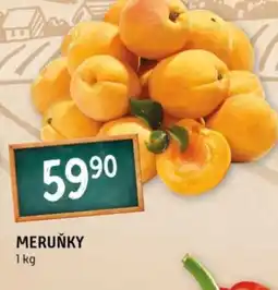 Terno Meruňky nabídka