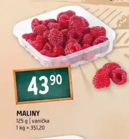 Terno Maliny nabídka