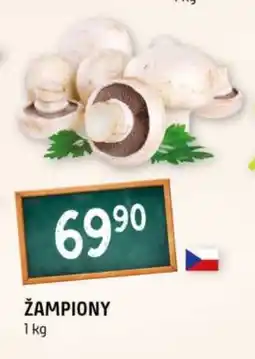 Terno Žampiony nabídka