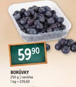 Terno Borůvky nabídka