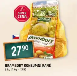 Terno Brambory konzumní rané nabídka