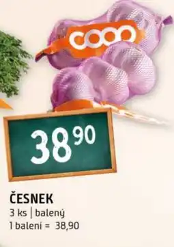 Terno Česnek nabídka