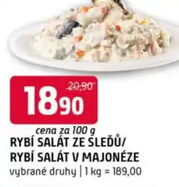 Terno Rybí salát ze śleďů/ rybí salát v majonéze nabídka
