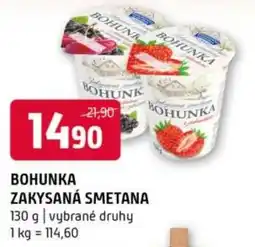 Terno Bohunka zakysaná smetana nabídka
