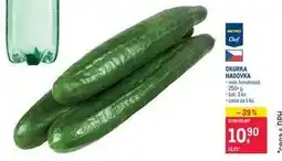Makro Okurka hadovka nabídka