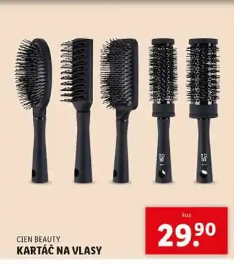 Lidl Cien Beauty Kartáč na vlasy nabídka