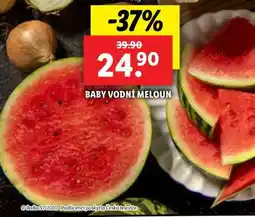 Lidl Baby vodní meloun nabídka
