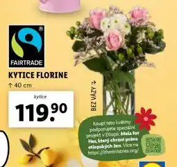 Lidl KYTICE FLORINE nabídka