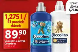 Lidl COCCOLINO AVIVÁŽ CREATIONS nabídka