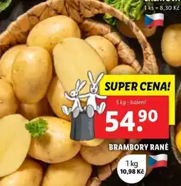 Lidl Brambory rané nabídka