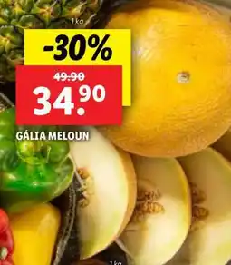 Lidl Gália meloun nabídka