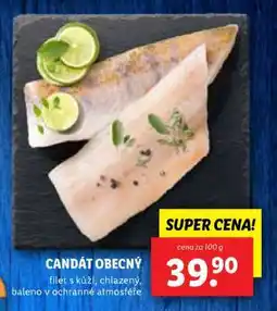 Lidl Candát obecný nabídka
