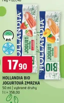 Terno HOLLANDIA BIO JOGURTOVÁ ZMRZKA nabídka