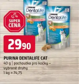 Terno PURINA DENTALIFE CAT nabídka