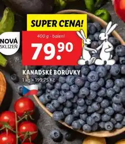 Lidl KANADSKÉ BORŮVKY nabídka