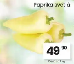 Kubík potraviny Paprika světlá nabídka