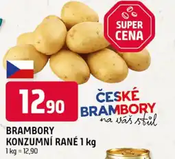 Trefa Brambory konzumní rané nabídka