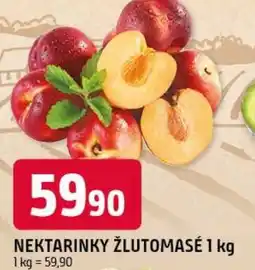 Trefa Nektarinky žlutomasé nabídka