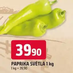 Trefa Paprika světlá nabídka