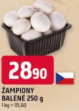 Trefa Žampiony balené nabídka