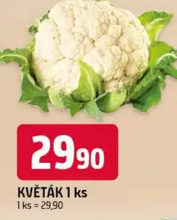 Trefa Květák nabídka