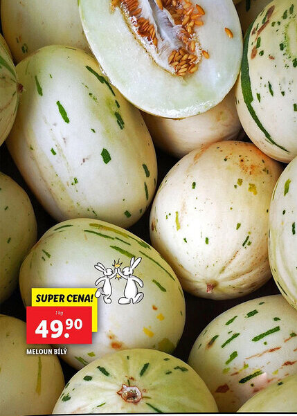 Lidl Meloun bílý nabídka