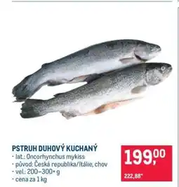 Makro Pstruh duhový kuchaný nabídka