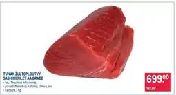 Makro Tuňák žlutoploutvý Sashimi filet AA grade nabídka