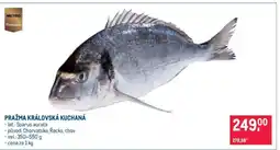 Makro Pražma královská kuchaná nabídka