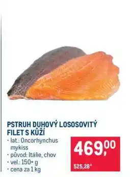 Makro Pstruh duhový lososovitý, filet s kůží nabídka