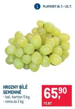Makro Hrozny bílé semenné nabídka