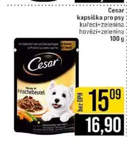 Jip Cesar kapsička pro psy kuřecí+zelenina hovězí+zelenina 100 g nabídka