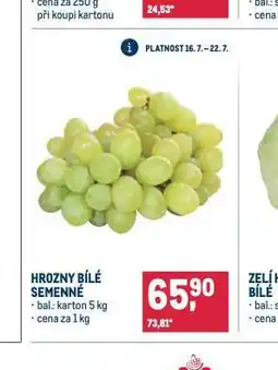 Makro Hrozny bílé semenné nabídka