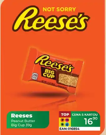 Tamda Foods Reeses Peanut Butter Big Cup nabídka