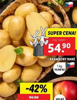 Lidl BRAMBORY RANÉ, 5 kg nabídka