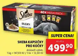 Lidl SHEBA KAPSIČKY PRO KOČKY, 40x 85 g nabídka